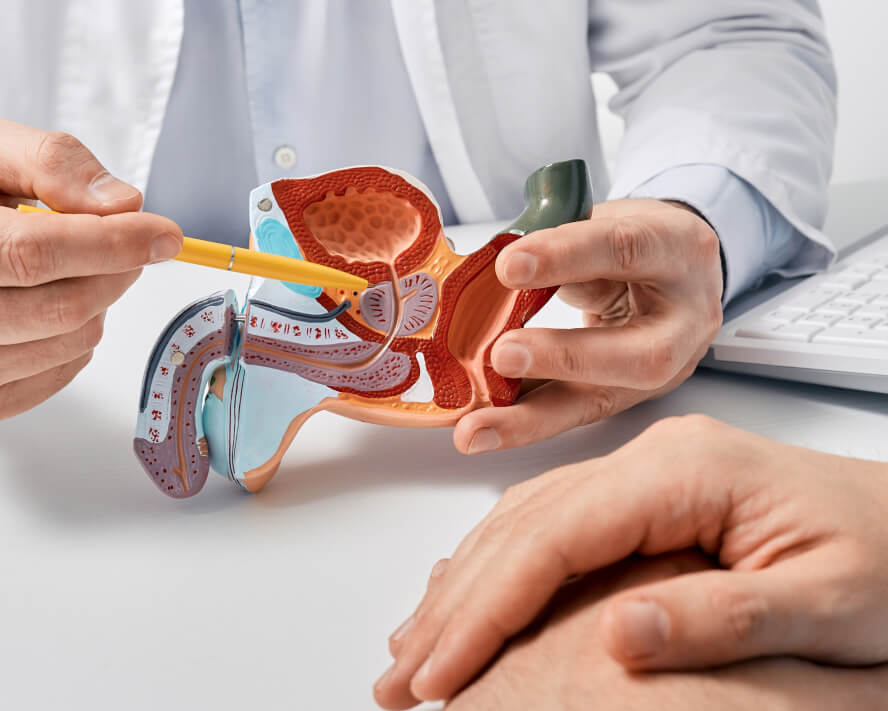 Urological Services Offrered