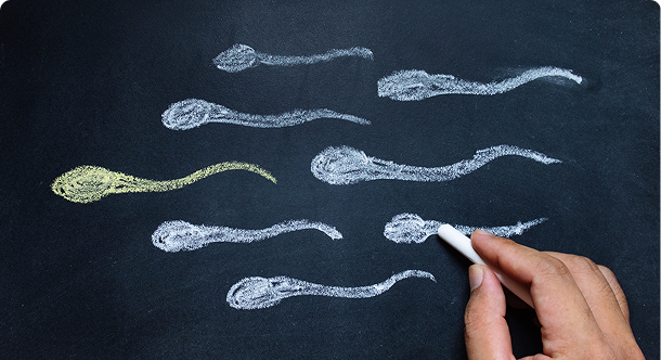 Erectile Dysfunction (ED) Treatment